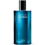 1-025 COOL WATER - DAVIDOFF (PERFUMY INSPIROWANE)